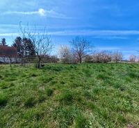 Greenery and trees on the plot in Lužianky on Korytovská suitable for commercial purposes.