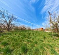 A grassy plot with trees in Lužianky on Korytovská, designated for commercial purposes.