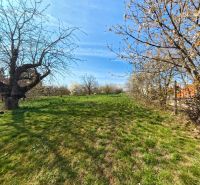 Green plot with trees on Korytovska Street in Lužianky, ideal for commercial purposes.