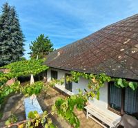 A family house on Hlavná Street in Lehota, with a vineyard and a large conifer.