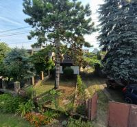 The garden at the family house on Hlavná Street in Lehota with coniferous trees.
