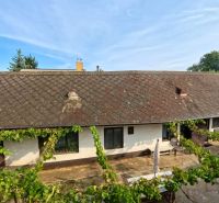 A family house on Hlavná Street in Lehota with a classic roof and a vineyard in the yard.