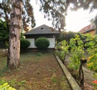 A garden in front of a family house on Hlavná Street in Lehota with vines and trees.