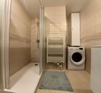 A bathroom with a shower and a washing machine in a 3-room apartment.