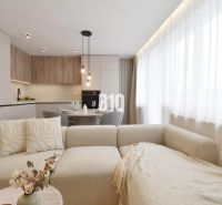Living room with a kitchenette and a sofa in a 4-room apartment.
