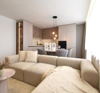 Living room with kitchen in a 4-room apartment with a wooden decor floor.