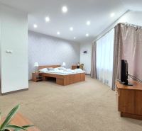 Spacious room in hotels and guesthouses with a bed, television, and flower.