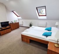 A bright room in a hotel or guesthouse with skylights, a double bed, and a television.