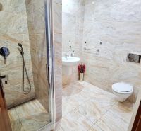 Bathroom with tiles in hotels and guesthouses with a shower and a sink.