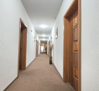 A long hotel corridor with brown doors and carpet. Hotels and guesthouses.