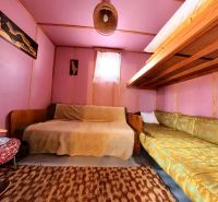 A cabin with wooden decor, beds, purple walls, and a carpet.
