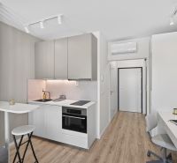 Compact studio with a kitchenette, work desk, and floor with wood decor.