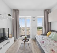 A studio apartment with a wooden floor design, a TV, a sofa, and access to a balcony.