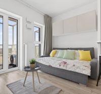 Studio apartment with a sofa, balcony, and wood-patterned flooring.