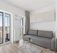 Bright studio apartment with a sofa, wood-patterned flooring, and a view of the balcony.