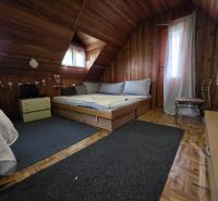 Attic room with a wooden ceiling, bed, and floor with a wooden decor.