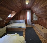 An attic room with wooden paneling and a wood-patterned floor in a cabin.