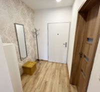 Entrance hall in a 1-room apartment with wallpaper, mirror, and wooden decor flooring.