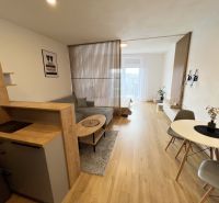 The 1-room apartment is dominated by a wooden decor floor and light furniture.