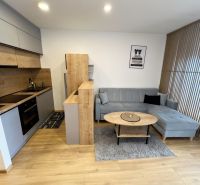 Kitchen with living room in a studio apartment, wooden decor flooring, gray sofa.