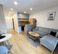 A one-room apartment with a wooden decor floor, a bright kitchen, and a comfortable sofa.
