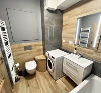 A bathroom in a studio apartment with a wood-patterned floor, a sink, and a washing machine.