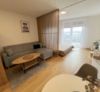 A living room of a one-bedroom apartment with a subtle design, a sofa, and a wooden decor floor.