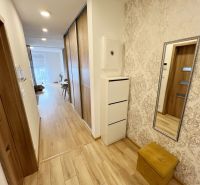 A hallway in a one-room apartment with a wooden decor floor and a mirror on the wall.