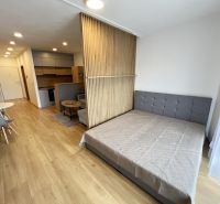 Interior of a 1-room apartment with a sofa, kitchen, and wooden decor flooring.