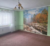 A room with carpet flooring, a nature wall mural, and a chandelier in a family house.
