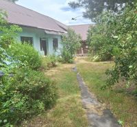 Greenery surrounds the family house in Kosorín with a grassy plot and an older shelter.