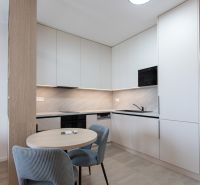 Kitchen corner in a studio apartment with a dining table and a floor with a wooden decor.