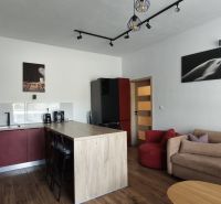 A kitchen with an island in a 2-room apartment, a floor with a wooden decor, a comfortable sofa.