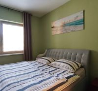 Bedroom with a bed, green walls, and a painting in a 2-room apartment.