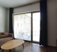 Living room with a sofa, wood-patterned floor, and a large window in a 2-room apartment.