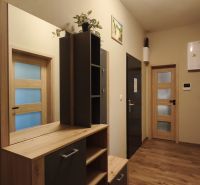 Entrance hallway in a 2-room apartment with a wooden decor floor and a built-in wardrobe.