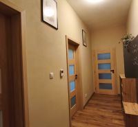 A hallway in a 2-room apartment with a wooden decor floor and wooden doors with glass.