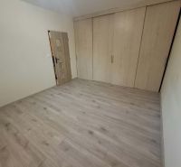 A room with a wooden decor floor and a large built-in wardrobe in a studio apartment.