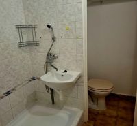 Bathroom with a shower and toilet in a studio apartment.