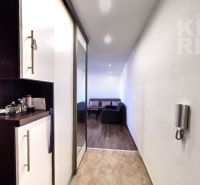Hallway and living room with a sofa in a 2-room apartment with a wooden decor floor.