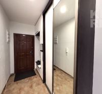 Entrance hallway in a 2-room apartment with wood-patterned flooring and a large mirror.