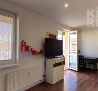 Living room in a two-room apartment with a television and wooden decor flooring.