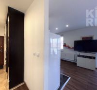 Entrance hall with tiles and living room with wood-patterned flooring in a 2-room apartment.