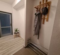 Entrance hallway in a 2-room apartment with a coat rack and flooring with a wooden decor.