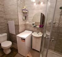 Compact bathroom in a 2-room apartment with a washing machine and a shower.