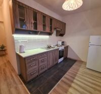 A kitchen in a 2-room apartment with a wooden floor decor and a kitchen unit.