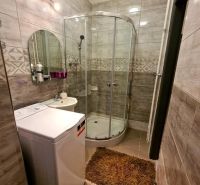 A bathroom with a washing machine and a shower in a 2-room apartment.
