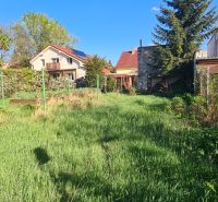 The garden behind the family house on Krájna Street in Trnava, with a lawn and greenery.