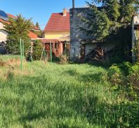 A garden with tall grass and family houses on Krajna Street in Trnava.