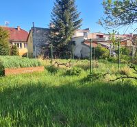 A garden with blooming trees by a family house on Krajna Street in Trnava.